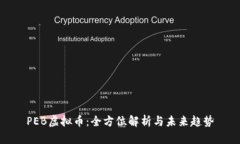 PEB虚拟币：全方位解析与