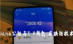 深入探讨Solana公链与T P钱