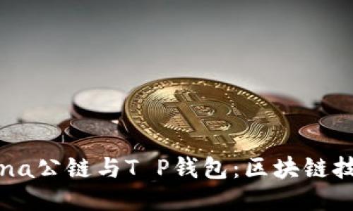 深入探讨Solana公链与T P钱包：区块链技术的未来潜力