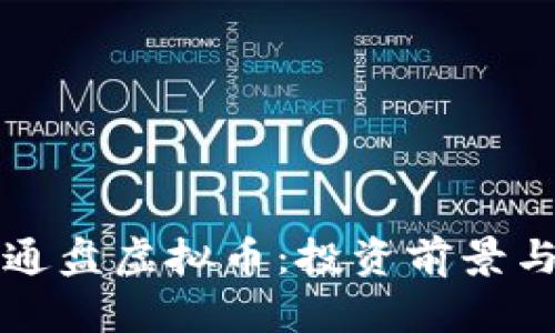 全面解析通盘虚拟币：投资前景与风险剖析