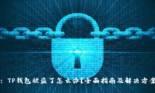 : TP钱包被盗了怎么办？全面指南及解决方案