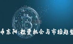 虚拟币东阳：投资机会与