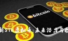 深入解析STK虚拟币：未来