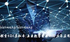 bizhuang/bizhuang探索BZC虚拟币