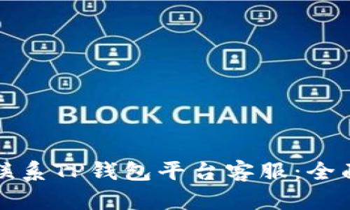 如何联系TP钱包平台客服：全面指南