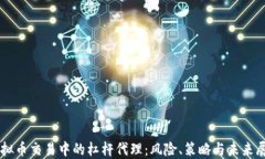 虚拟币交易中的杠杆代理：风险、策略与未来展