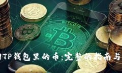 怎么找回TP钱包里的币：完