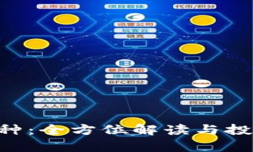 LKL虚拟币种：全方位解读与投资前景分析