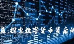 虚拟币的权益：探索数字