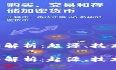 虚拟币MCC的全面解析：起