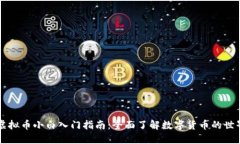 虚拟币小白入门指南：全