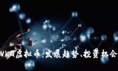  深入解析WKG虚拟币：发展