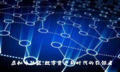  虚拟币陆巍：数字资产新