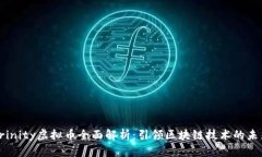 Trinity虚拟币全面解析：引
