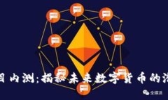 虚拟币项目内测：揭秘未