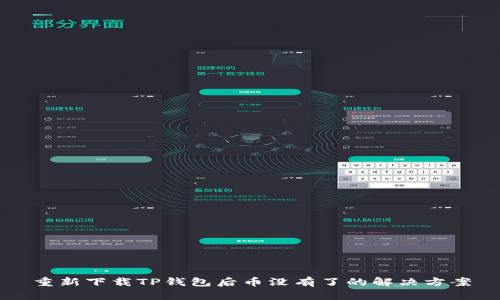 重新下载TP钱包后币没有了的解决方案