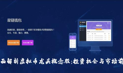 全面解析虚拟币龙头概念股：投资机会与市场前景