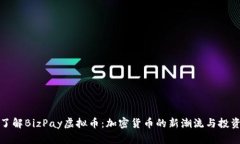 深入了解BizPay虚拟币：加