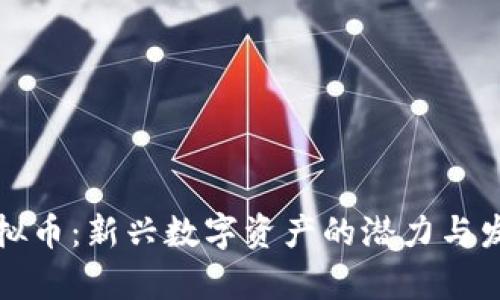 SWZ虚拟币：新兴数字资产的潜力与发展前景