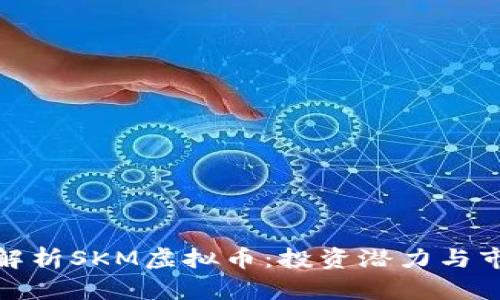 : 深入解析SKM虚拟币：投资潜力与市场动态
