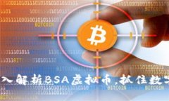 2025必看：深入解析BSA虚拟