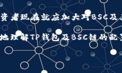 什么是TP钱包？如何在BS