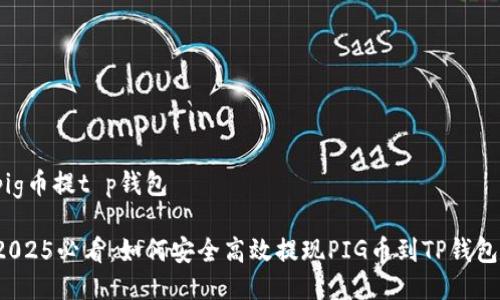 pig币提t p钱包 

2025必看：如何安全高效提现PIG币到TP钱包？