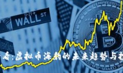 2025必看：虚拟币海豹的未