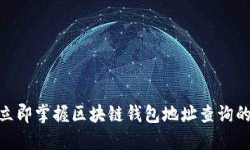 2025必看：立即掌握区块链钱包地址查询的技巧与工具