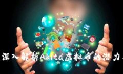 2025必看：深入解析Akita虚