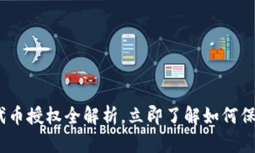 2025必看：T P钱包代币授权全解析，立即了解如何保障你的数字资产安全