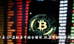 2025必看：SM虚拟币市场全