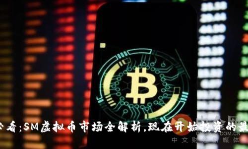 2025必看：SM虚拟币市场全解析，现在开始投资的最佳时机