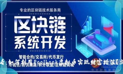 2025必看：如何利用Poolbook虚拟币实现财富增值？立即了解！