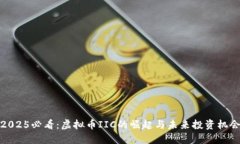 2025必看：虚拟币IIC的崛起