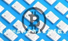 2025必看：BNM虚拟币的未来