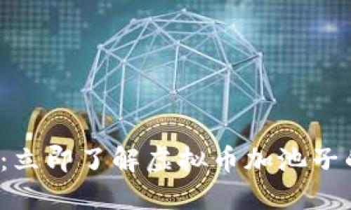 2025必看：立即了解虚拟币加池子的实用指南
