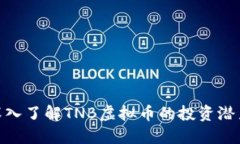 2025必看！深入了解TNB虚拟
