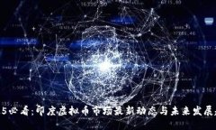 2025必看：印度虚拟币市场