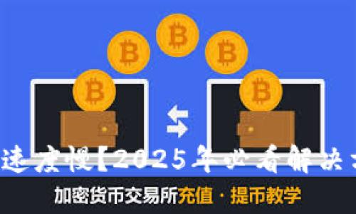 TP钱包闪兑速度慢？2025年必看解决方案与技巧！