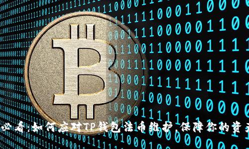 2025必看：如何应对TP钱包法币维护，保障你的资产安全
