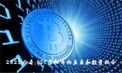 2025必看：RSC虚拟币的未来