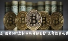 2025必看：揭开BDT虚拟币的