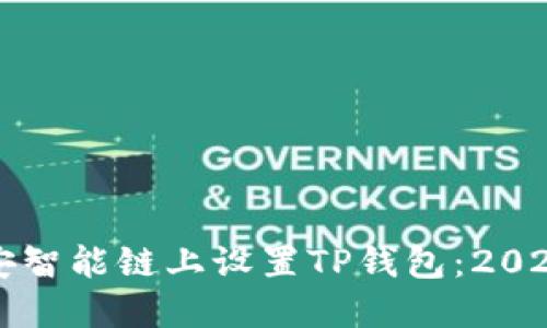 如何在币安智能链上设置TP钱包：2025必看指南