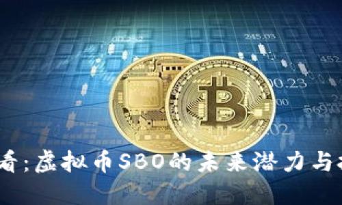 2025必看：虚拟币SBO的未来潜力与投资机会