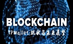 TPWallet：现状与未来展望